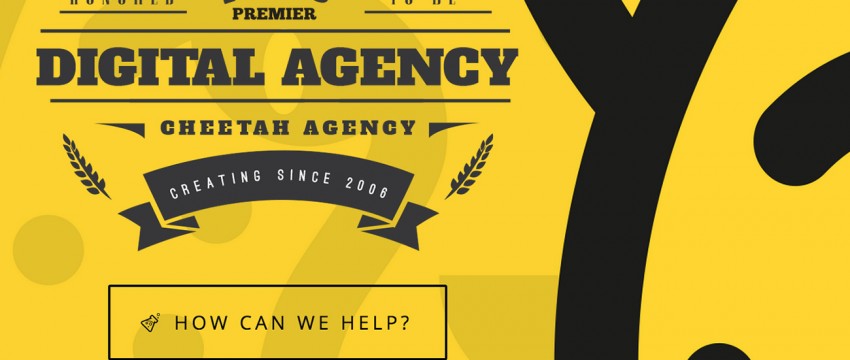 Cheetah-Agency